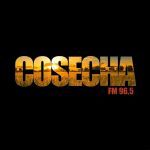 FM Cosecha